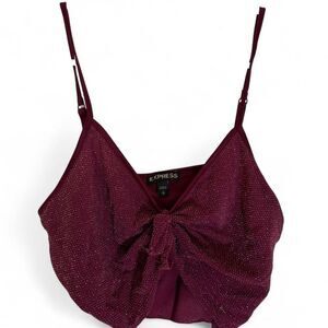 Express Women's Burgundy and Purple Crop-top
